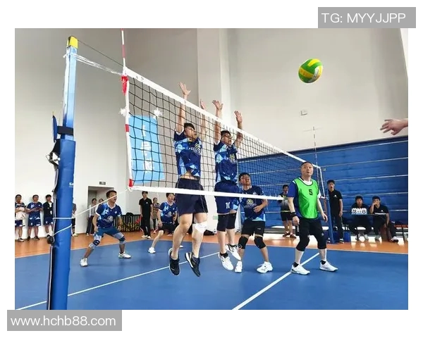 武汉排球队团队协作变革引发热议助力排球运动新发展