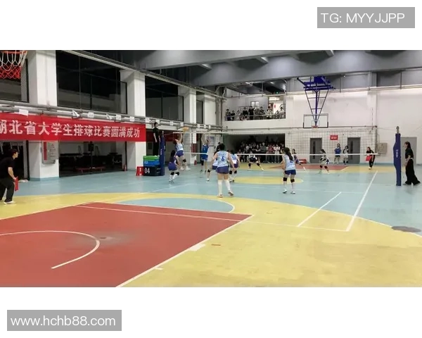 武汉排球队实力对比深度分析及未来发展潜力探讨